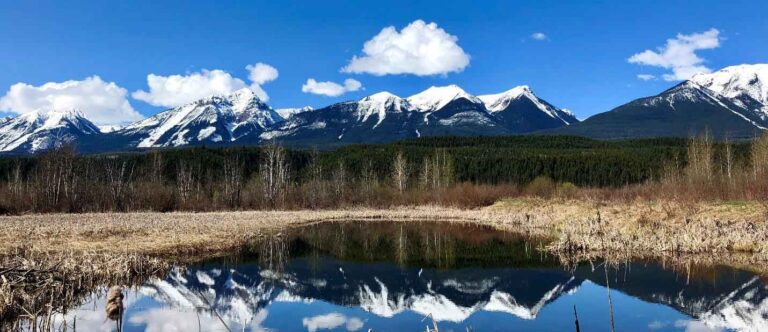 Photo credit: Moberly Marsh, Alana Higginson