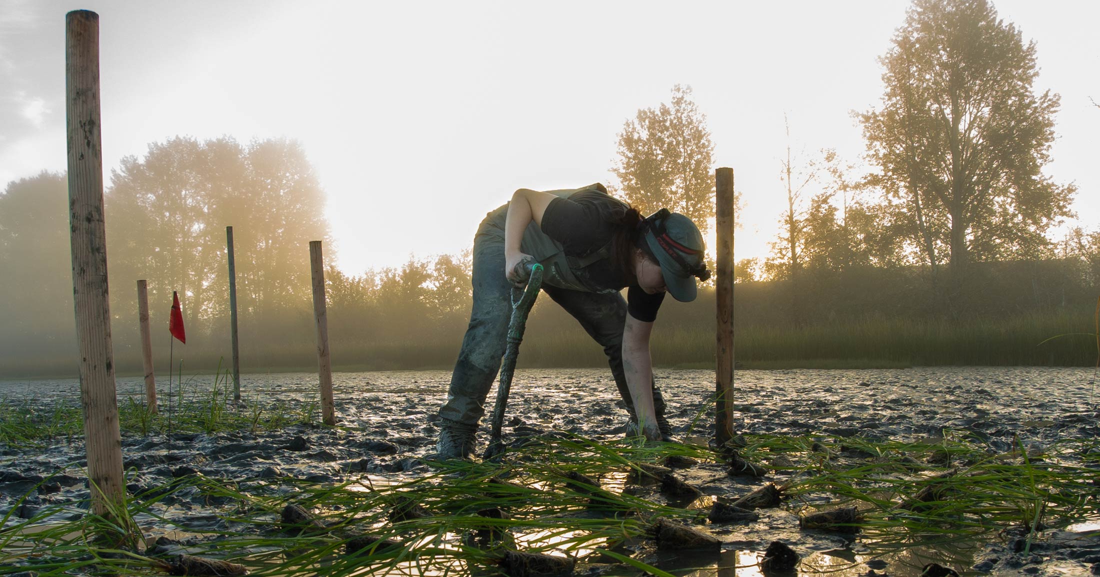 Habitat projects