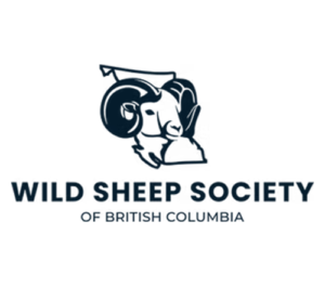WSSBC