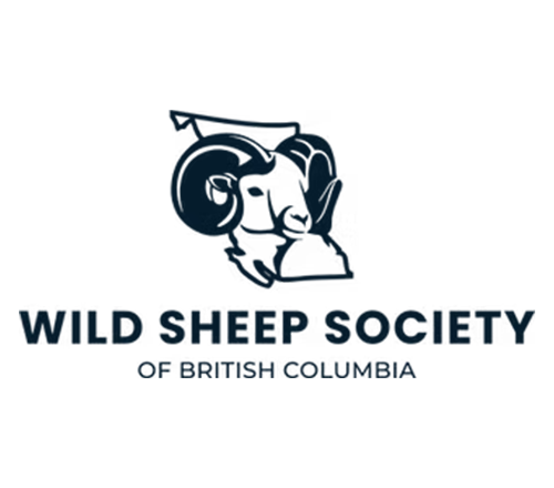 WSSBC