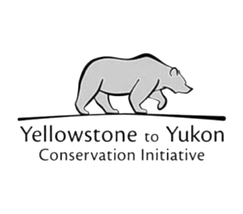 Yellowstone to Yukon